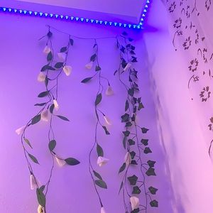 Meet your Posher, Scout